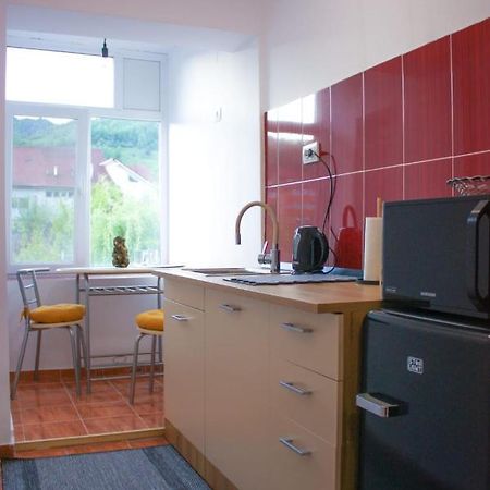 Vlad'S Downtown Apartment Petrila 외부 사진