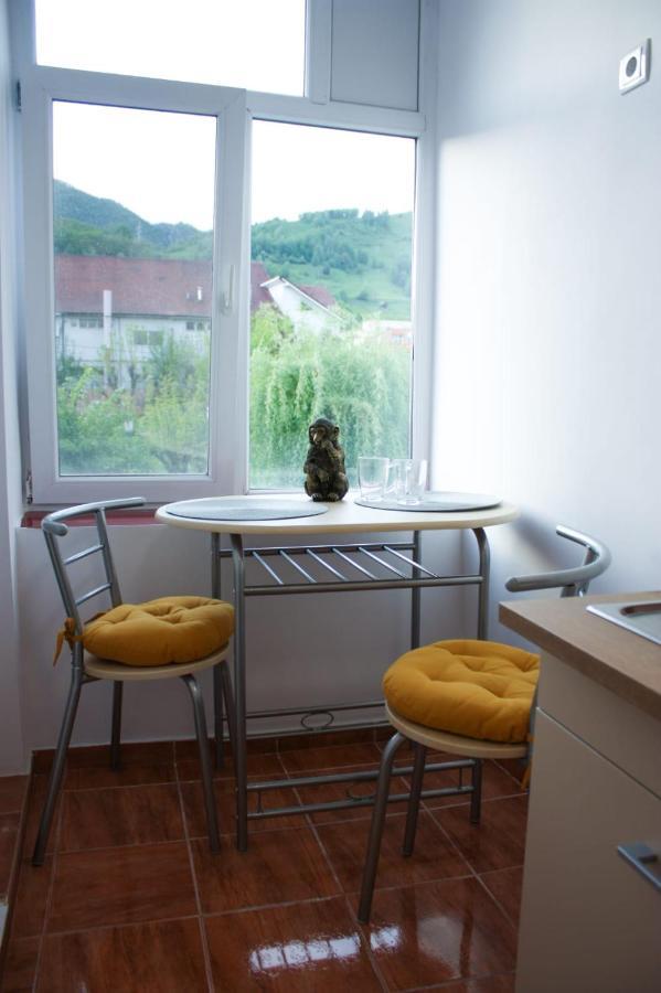 Vlad'S Downtown Apartment Petrila 외부 사진