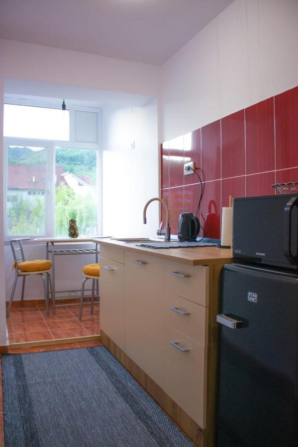 Vlad'S Downtown Apartment Petrila 외부 사진